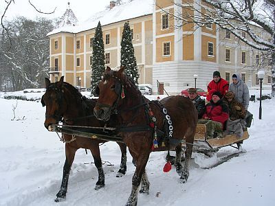Gite in carrozza a Hedervar - Castello Albergo Hedervary nella parte settentrionale dell'Ungheria