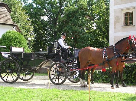 Hotel in castelli in Ungheria - gite in carrozza in Ungheria - hotel castello Hedervary