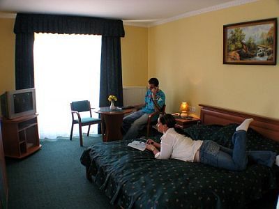 Hotel Viktoria a Sarvar - alloggio a Sarvar - hotel Ungheria