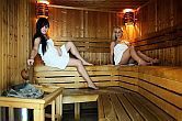 Centro wellness con sauna all