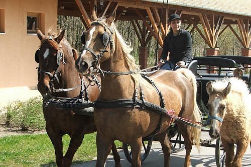 Zichy Park Hotel - weekend romantico a Bikacs in Ungheria - passeggiate in carrozza