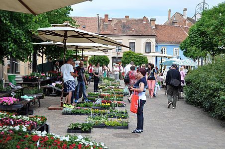 Alloggio a Koszeg all'Hotel Irottko - hotel a prezzi vantaggiosi a Koszeg