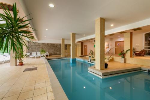 Piscina d'acqua medicinale all'Hotel Fit Heviz - hotel termale Fit a Heviz con trattamenti terapeutici e massaggi