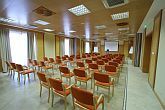 Sala conferenza con luce naturale a Szilvasvarad