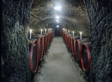 Hotel Flora 3* winecellar in Eger - vini di qualità dalla città